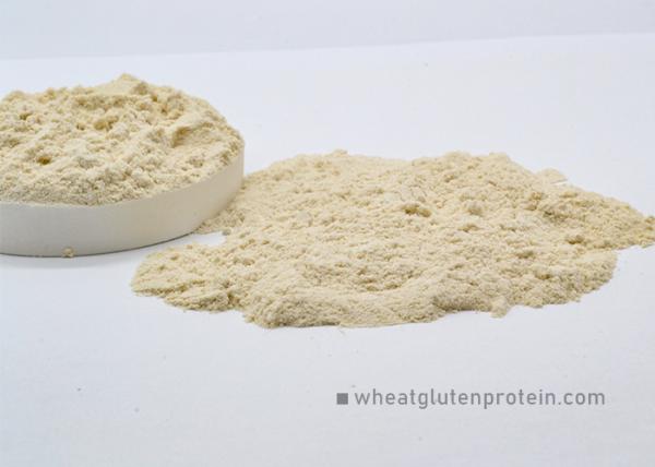 Health Care Fine Wheat Protein Powder KOSHER Approval 2 Years Shelf Life