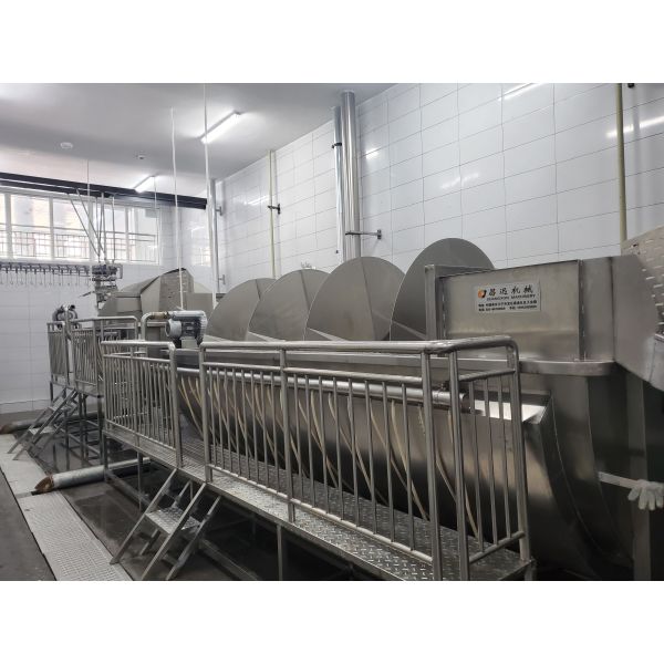 High Efficiency Halal Chicken Slaughtering Equipment Turnkey Poultry Processing Line for 1000 Birds Per Hour