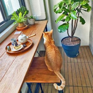 Wood Deck Tiles