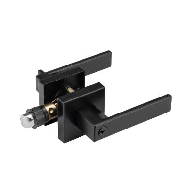 CP MB ORB PB AB SS Finish Tubular Lever Lock Privat Tubular Door Lock Keyed Different