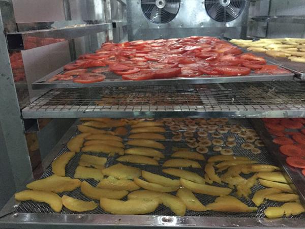 Integral Vacuum Freeze Dryer Industrial Lyophilization Machine Tray Type