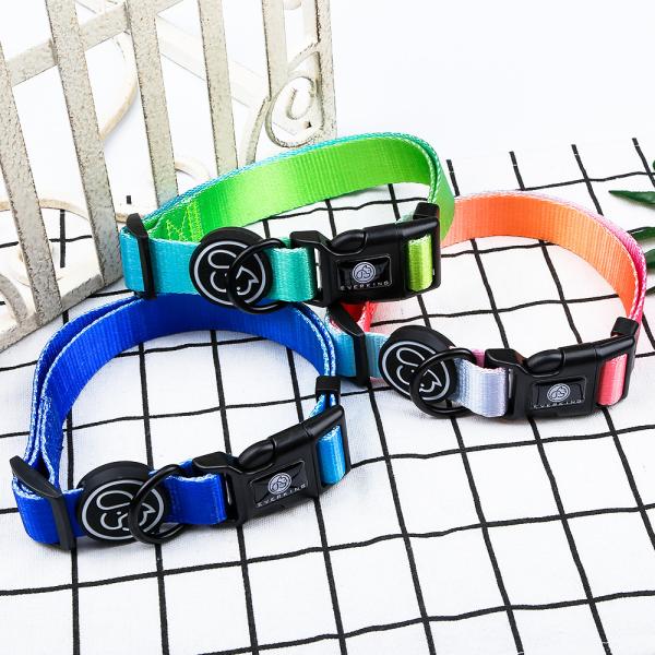 Gradient Waterproof Harness Collar Leash Set Blue Pink Purple Puppy Collar And Lead Set