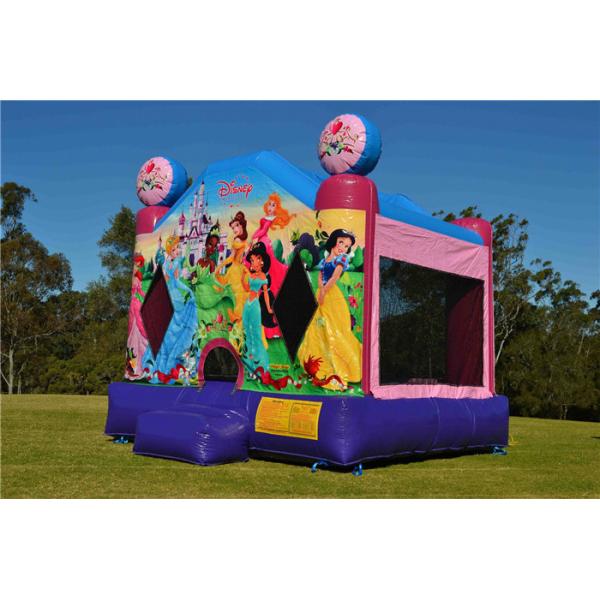 Огнезащитный раздувной хвастун, принцесса Джумпинг Замок Дисней крупного плана