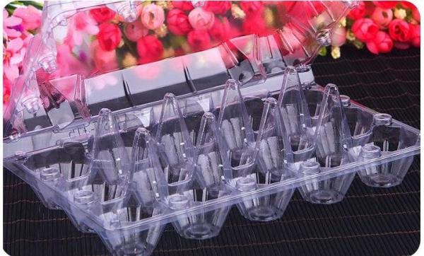 Hot Selling Plastic PET Sandwich Containers Cake Bread Container Plastic Takeaway Food Box with conjoined cover bagease