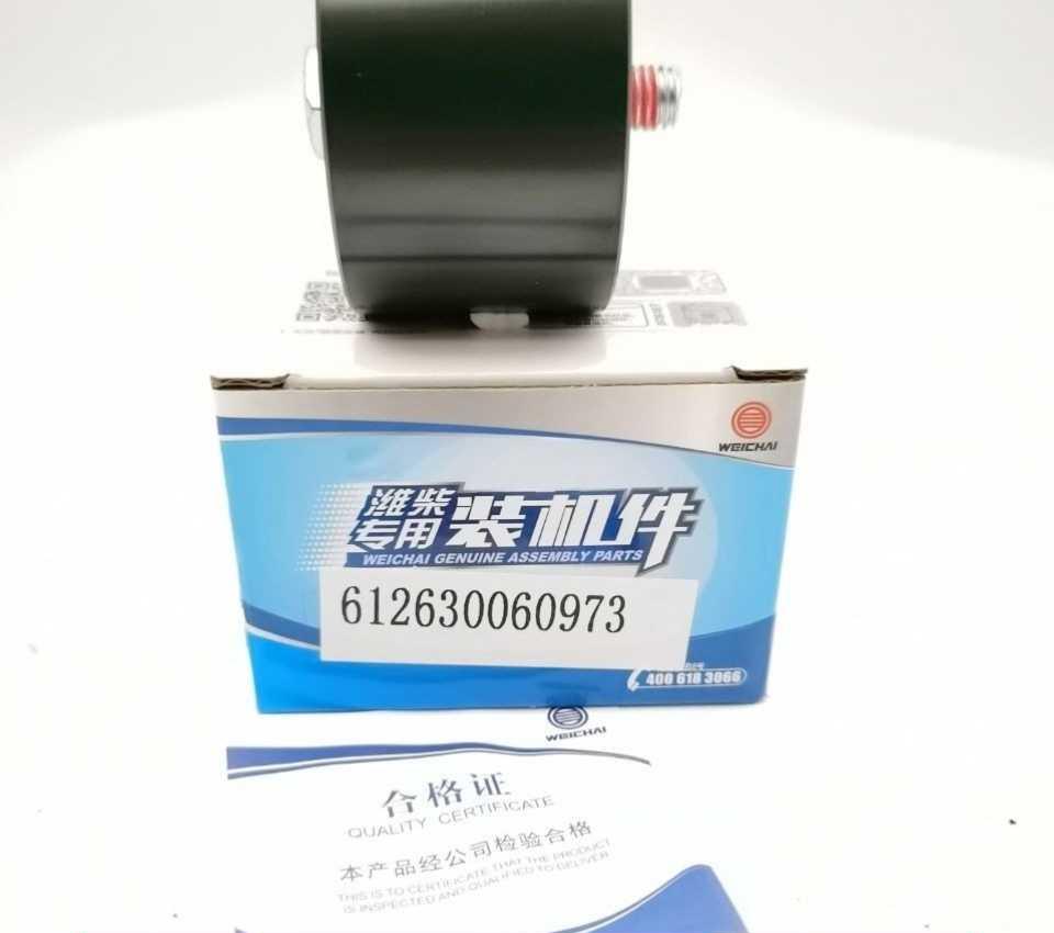 Weichai Diesel Original 612630060973 IDler & Tensioner Pulley for P12/P13 Belt Engine Model 6HH1 Piston Type