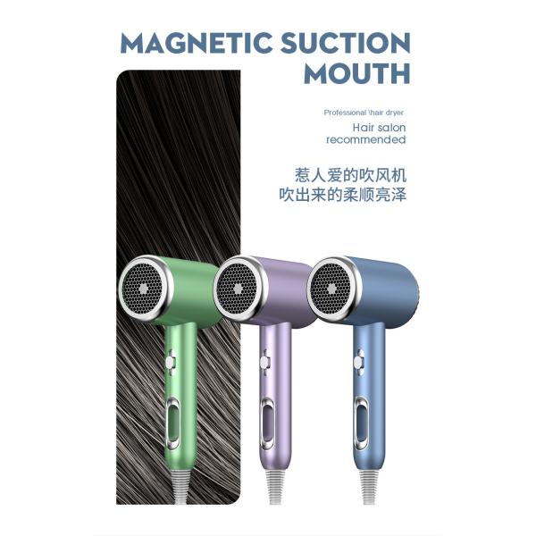 Hotel Household High Speed Hair Dryer Air Styler Salon Hot Air Brush with Metal Body