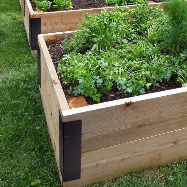 Порошковое покрытие поднятых креплений для металлических саженцев и овощных садов