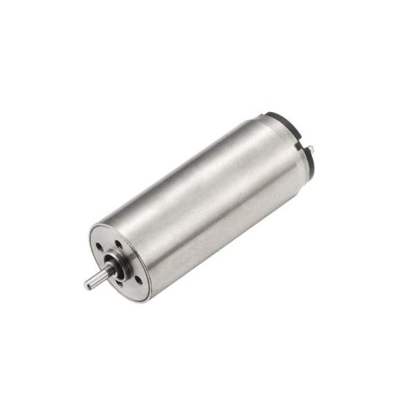 Faradyi Customized Coreless Brushless Dc Motor 12V Brushed 35Kg High Torque Coreless Motor 17Mm Ball Bearing With Wormgear