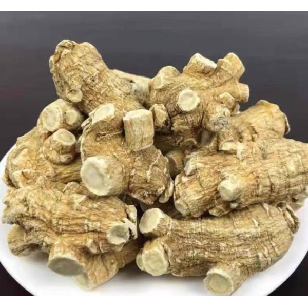 Thé de Panax Quinquefolius, thé chinois à base de plantes, conserver dans un endroit frais et sec