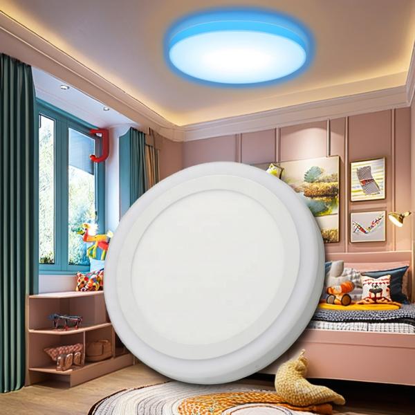 Surface Mounting 6 3W LED Panels Lighting with Double Color and High Luminous