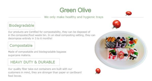 9 Inches White 100% Compostable Biodegradable Food Plate, For Food And Vegetables