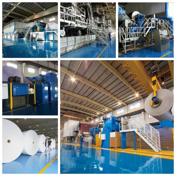 50g 60g 70g 80g Offset Printing Paper , A4 Size White Paper Roll For School Exercise Book