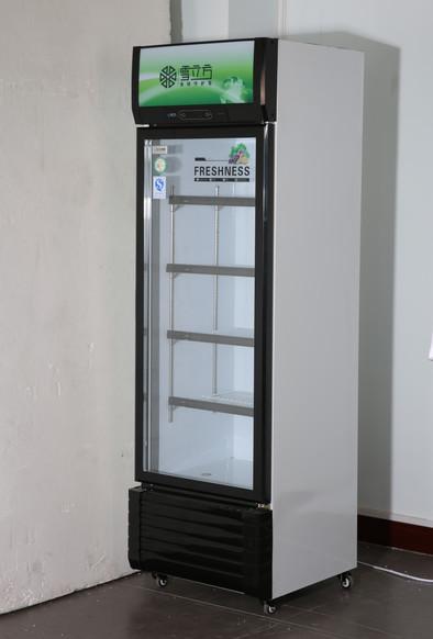338L Drinks Glass Door Display Freezer Direct Cooling Single Door