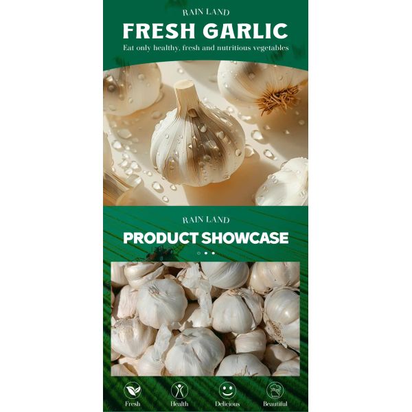 Wholesale Fresh Natural Fresh Garlic Organic Garlic Perfect for Cooking and Seasoning