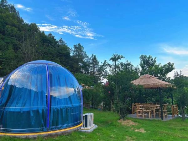 Modern Luxury Prefabricated Modular Green Houses Hurricane-Proof PC Dome Tent for Resort Villa Capsule Dome Design
