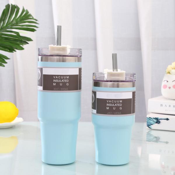 20OZ Stainless Steel Tumbler Bottle With Lid And Straw ,  Insulated Coffee Mugs