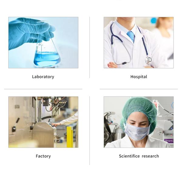 Anti-dust Disposable Cap PP Clip Mob Cap Single&Double Elastic Hair Net Mob Cap