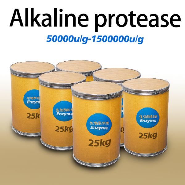 Enzyme de protéase bactérienne alcaline de qualité alimentaire