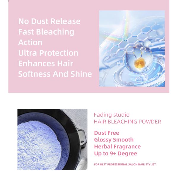 Poudre Décolorante Professionnelle pour Cheveux de Salon 500g Formule à Base de Plantes Coloration Permanente