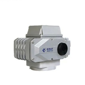 Intelligent Electric Actuator