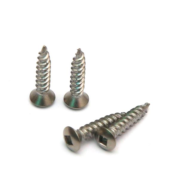 DIN7983 A2 SS 304 Stainless Steel Self Tapping Screws SQ Drive Raised Head Inox