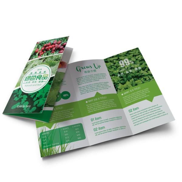 Four Color Colouring Book Printing Silver Logo Embossing Surface