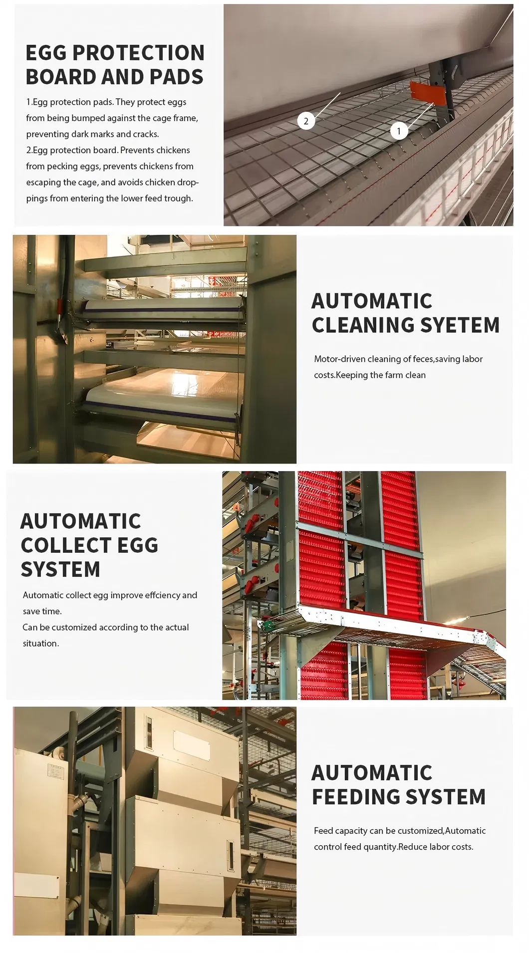 H Type Poultry Chicken Layer Battery Cage Multi Layer Vertical Design Save Labor