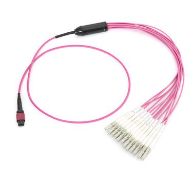 ROHS Approval Fiber Cable Assembly MPO/MTP Fiber Optic Fan Out Kit