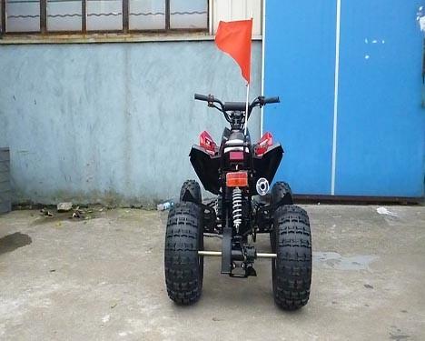 Electric Start Youth Racing ATV Front Drum Brake Rear Disc Brake 12V 4AH Battery