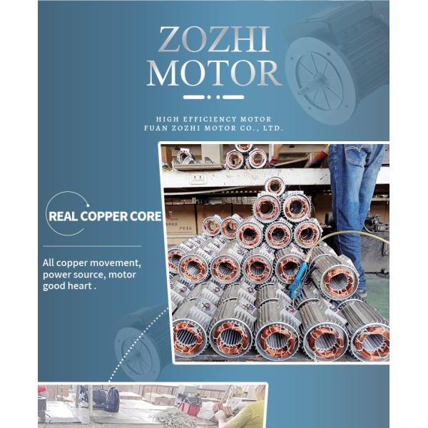 Moteur asynchrone monophasé en aluminium étanche pour pompe de piscine 1500 tr/min 220V 50/60Hz