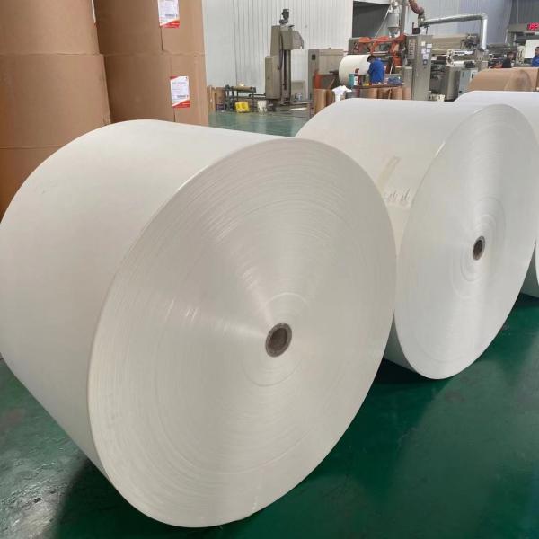 Matéria prima de papel conservada em estoque do copo do diâmetro 1200mm exigida para a fabricação do copo de papel