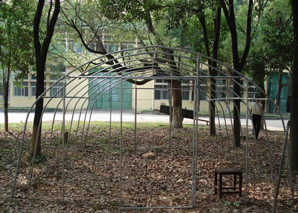 Lightweight Woven Mini DIY Greenhouse Transparent Materials For Indoor Outdoor