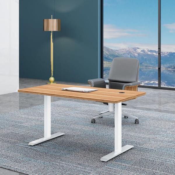 Adjustable Petite Ergonomic French Two Motor Standing Desk for Kids Mail Packing