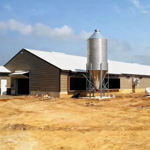 Durable Q235 Steel Structure Chicken House With Eco-Friendly Weather-Resistant Design