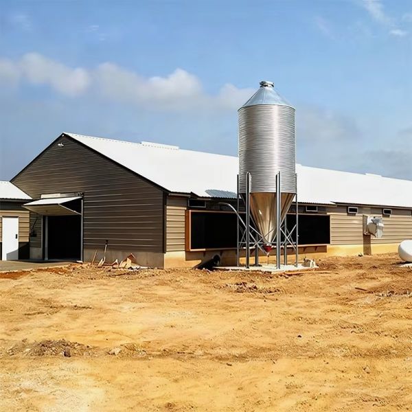 Efficient Steel Structure Chicken House With Fast Install Customized Size And Sandwich Panel Steel Frame