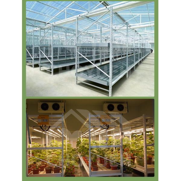 Hydroponic Multi Layer Vertical Grow Shelf System ABS Cover