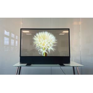 OLED Transparent Display