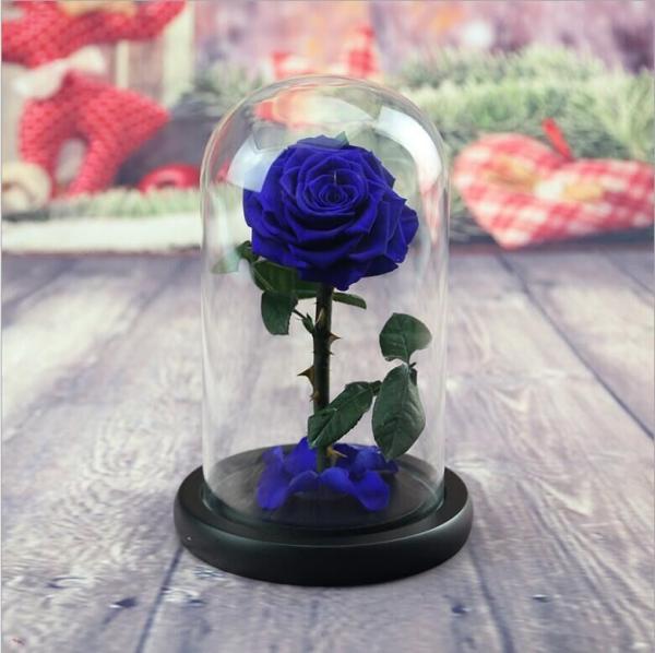 Real Natural Fresh Big Rose Preserved Flower Preserved Everlasting Real Roses in Glass Dome for Sale