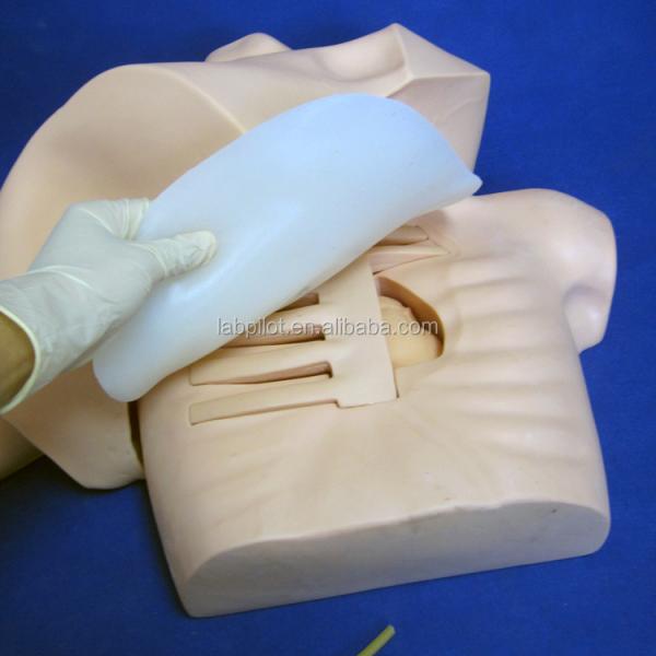 Peripheral Veins Puncture and Central Venous Catheters Insertion Teaching Model PICC Simulator