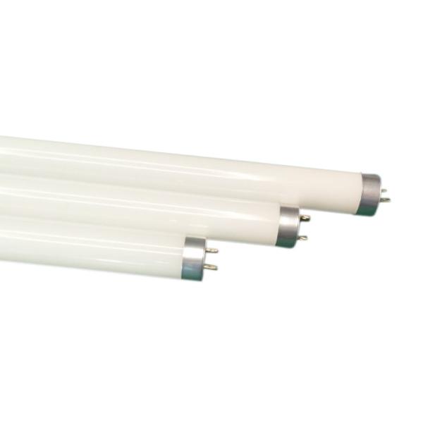 9-24W Warm White T8 LED Tube With Aluminum Lamp Body For Household Lighting
