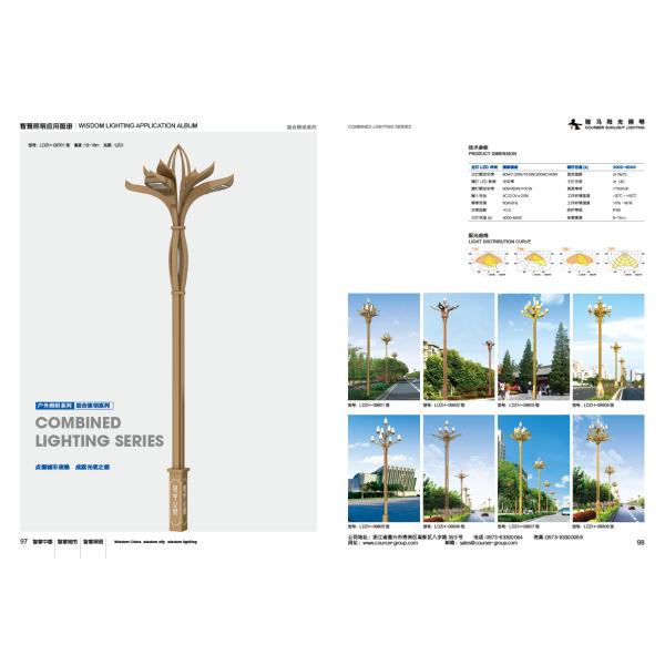 Roadway LED Pole Street Lights 90w 100w 6m 8m 10m 12m height