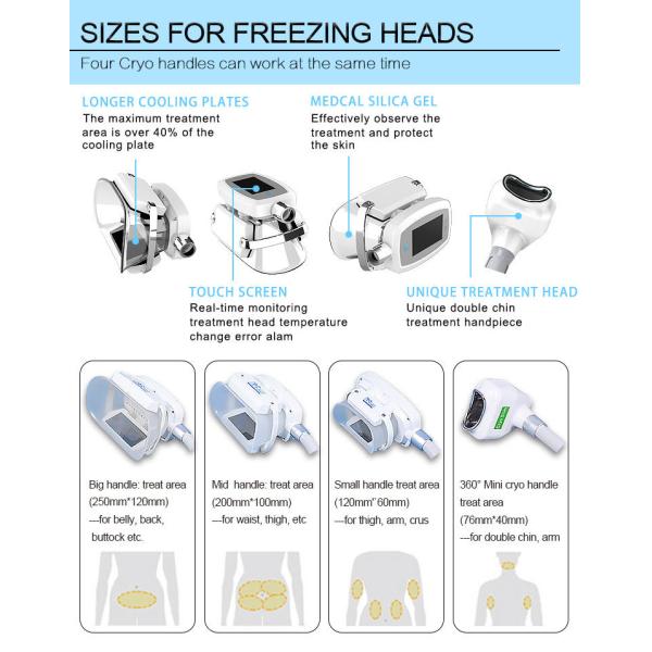 1600W 5in1 Cryolipolysis Vacuum Machine Weight Loss 12 Inch Touch Screen