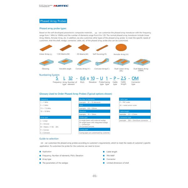 Elemento dual organizado - el arsenal sonda para el CE del equipo ISO de la inspección ultrasónica