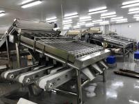 Máquina de clasificación de camarones duradera 3P, equipo de clasificación de camarones anti-erosión