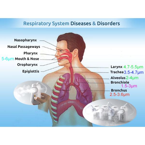Ингалятора Nebulizer больницы IP24 машина портативного ультразвукового мини дыша для астмы
