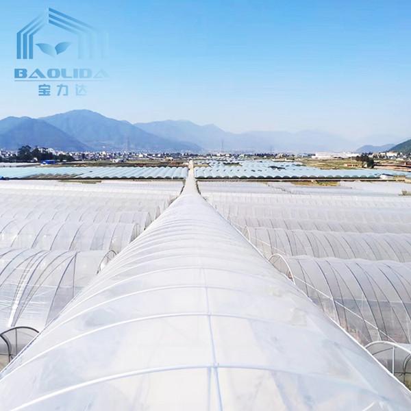 Estufa poli do túnel de Multispan dos vegetais com sistema de ventilação refrigerando