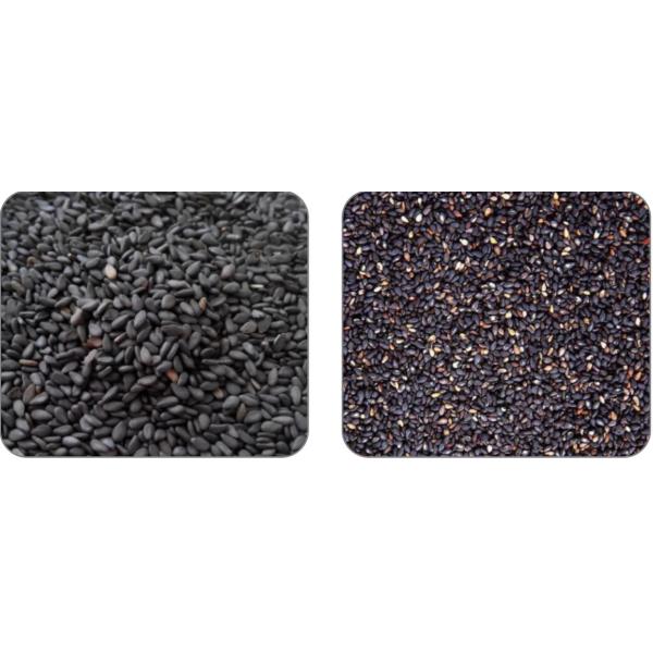 Сортировщица цвета спектра T/H цели 5-9 сортируя машины зерна 12 парашютов Multi точная