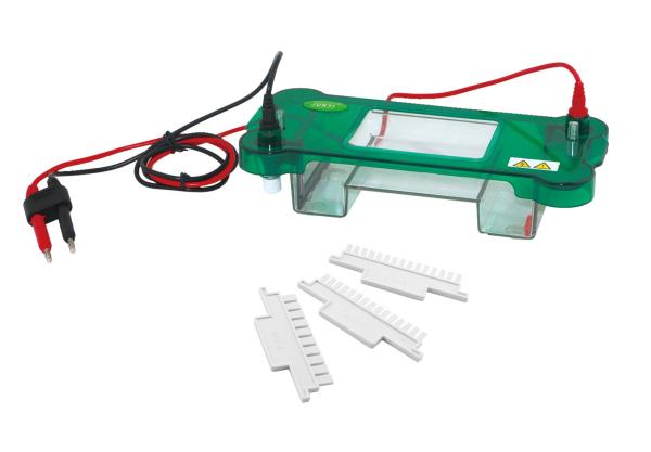 Moulding Design Horizontal Gel Electrophoresis Apparatus 365 × 105 × 55 Mm