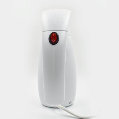 Electric Travel Home Steam Iron Compact Garment Steamer Dual Protection System 700W VDE Plug