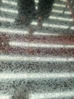Oiled Surface Ppgi Steel Sheet 1010mm GI Galvanized Steel Sheet Coil S550GD